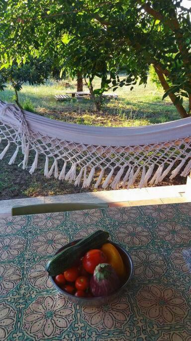 Country House Tra Lago E Mare A Sud Di Roma Villa Campoleone Luaran gambar