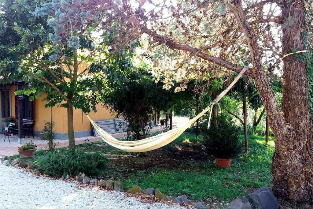 Country House Tra Lago E Mare A Sud Di Roma Villa Campoleone Luaran gambar